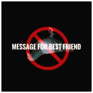 M.F.B.F ( Message for best friend )