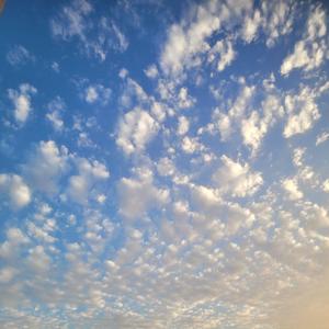 우리들의 하모니 (Modern Folk Choir)