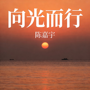 向光而行