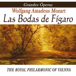 Las Bodas De Figaro  Sinfonia - Mozart