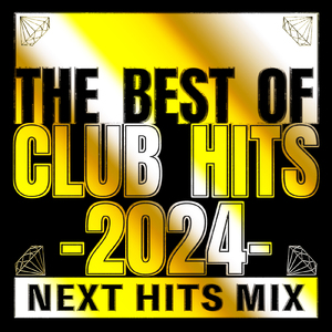 Problem (PARTY HITS REMIX)