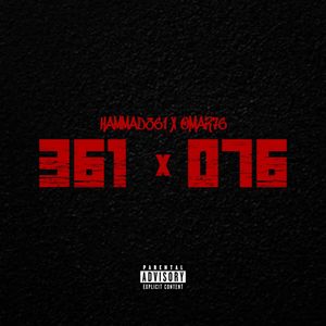 361/076