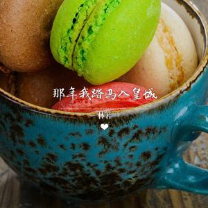 那年踏马入皇城