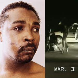 Die Piggies (Rodney King Song)