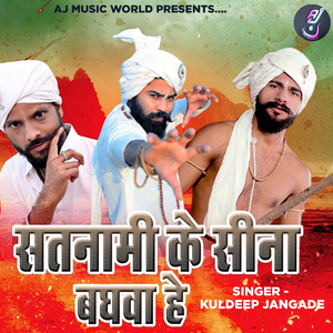 Satnami Ke Seena Baghwa He