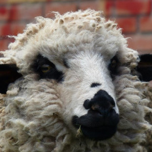 天児（あまがつ）