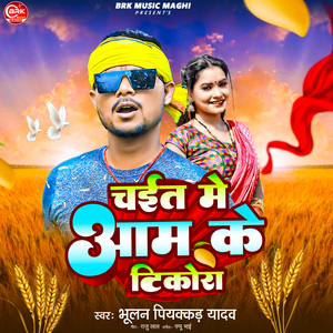 Chait Me Aam Ke Tikora