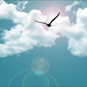 我的爱（Cover孙燕姿）（翻自 孙燕姿）