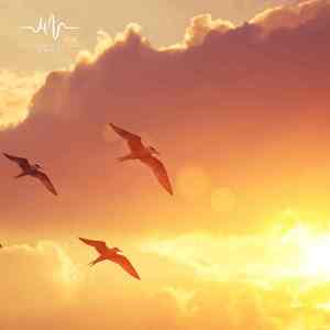 枕月入眠 (古琴钢琴纯音乐)