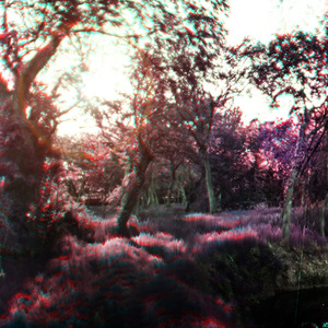 Morgondagg