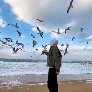 弹跳咚咚咚 Edit