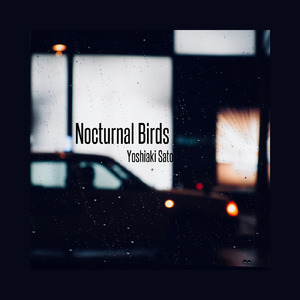 Nocturnal Birds