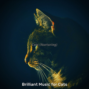 Nurturing (Cute Kittens)