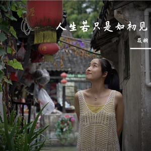 人生若只是如初见