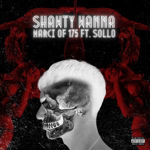 Shawty Wanna (feat. Sollo)
