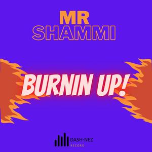Burnin' Up (feat. Mr Shammi & Dash)