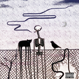 ASKHOLE (MEGAPLAYER) (Radio Edit)