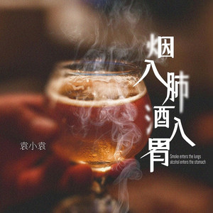 烟入肺酒入胃 (DJ版)