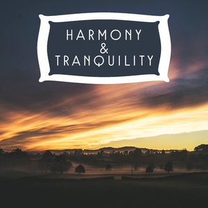 Balanceamento e Abrindo Chakras