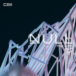 Null (Radio Edit)