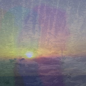 Birds Talk About Things