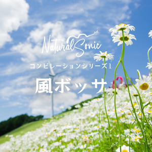 Under the Cherry Blossoms