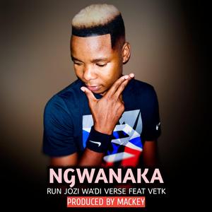 Ngwanaka (feat. VetK)