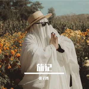 单身旅记
