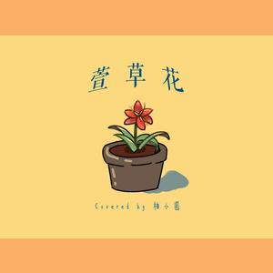 萱草花（翻自 张小斐）