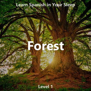 Hacer - To Do, To Make