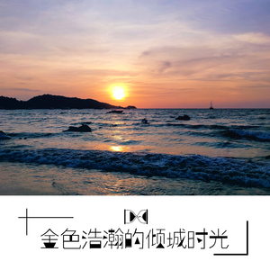 金色浩瀚的倾城时光