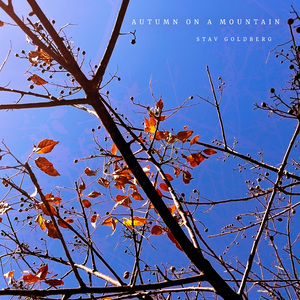 Listener In The Dark