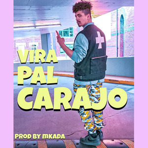 Vira Pal Carajo