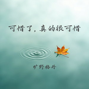 可惜了，真的很可惜