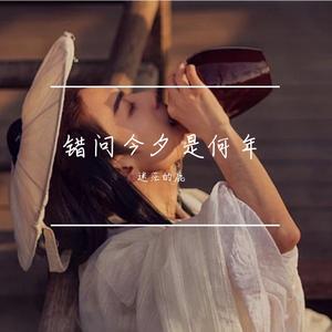 错问今夕是何年