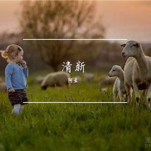 暖友拘