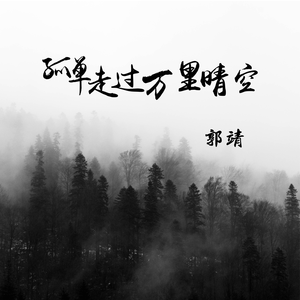 孤单走过万里晴空