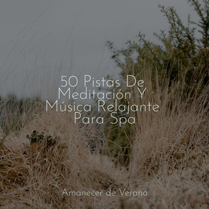 Melodía Confitada y Dichosa