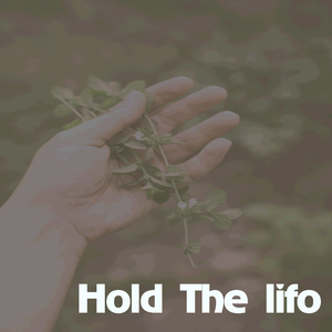 Hold The lifo