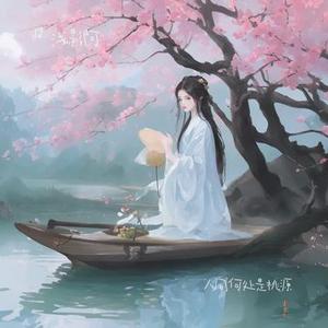 人间何处是桃源 (DJ版)