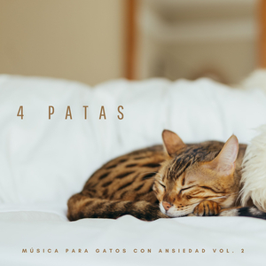 Truenos Acercándose