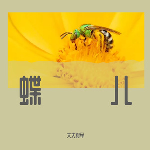 蝶儿总在空中飞