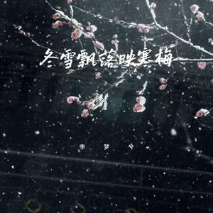 冬雪飘落映寒梅