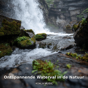 Ontspannende waterval in natuurlijke omgeving, Pt.14