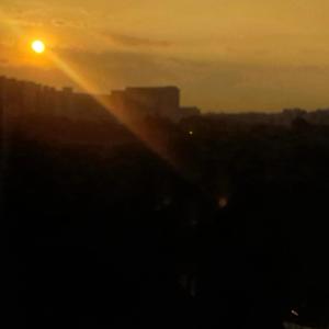 SHINE