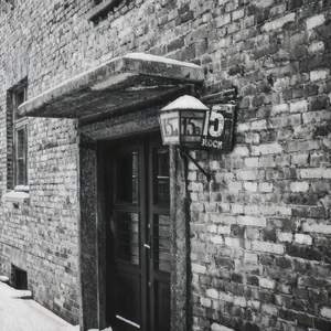 vibbing in a alleyway