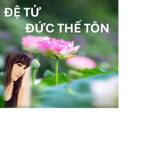 VÔ THƯỜNG KHỔ VÔ NGÃ (BẢO YẾN)