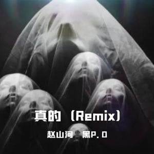 真的（Remix）