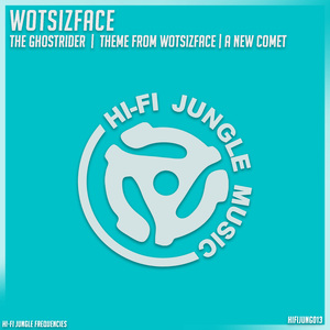 Theme from Wotsizface