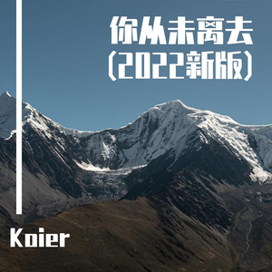 你从未离去(2022新版)